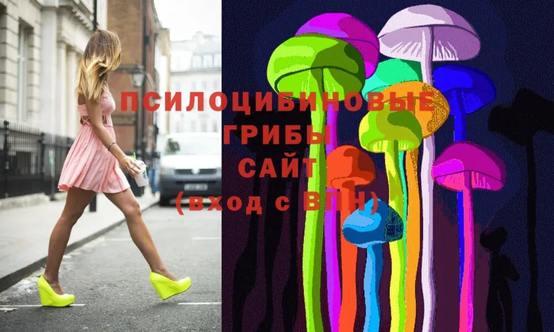 Галлюциногенные грибы Psilocybine cubensis  Лагань 